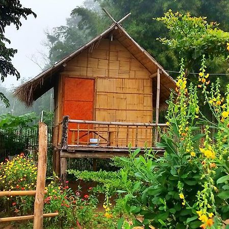 Baan Aingdoi Homestay, Chiang Dao Luaran gambar