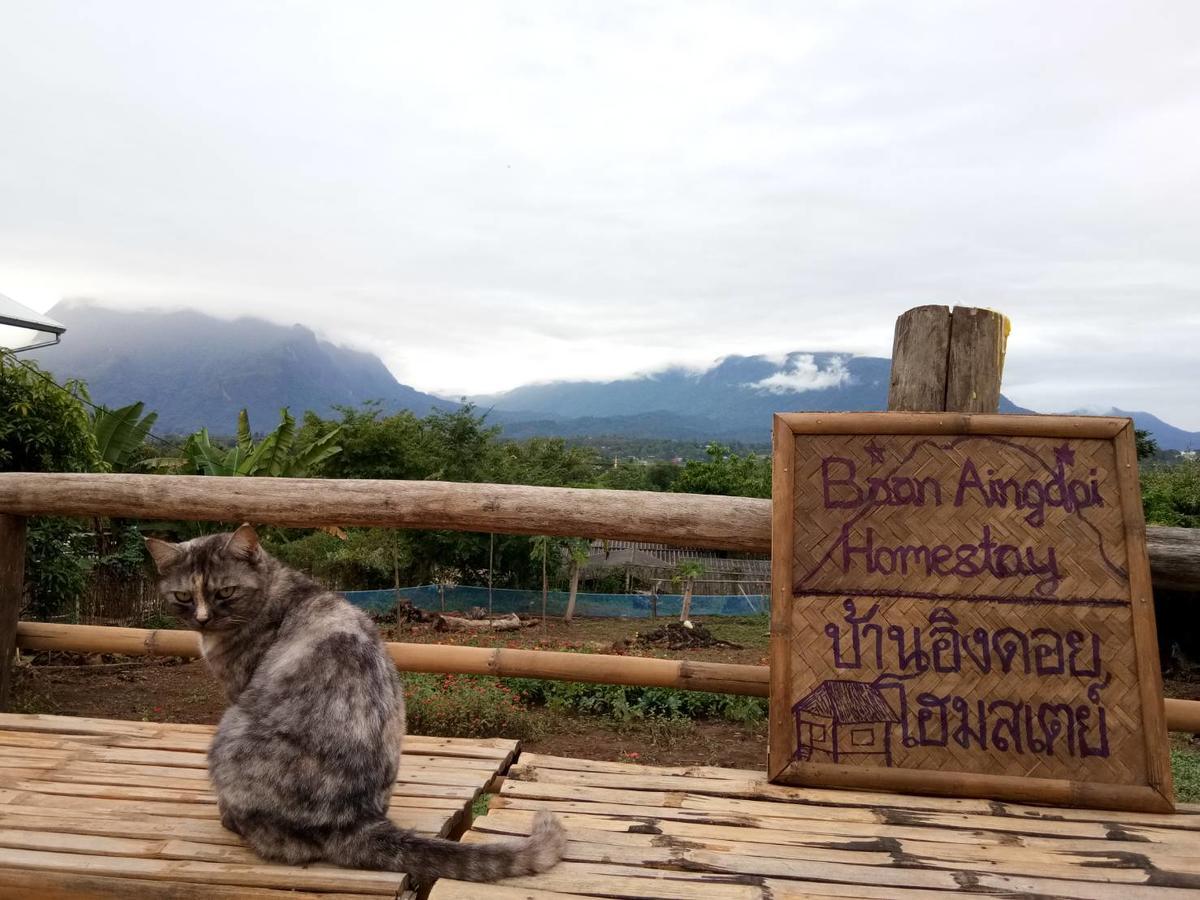 Baan Aingdoi Homestay, Chiang Dao Luaran gambar