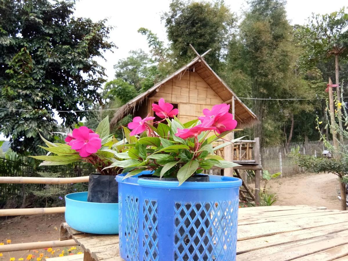 Baan Aingdoi Homestay, Chiang Dao Luaran gambar