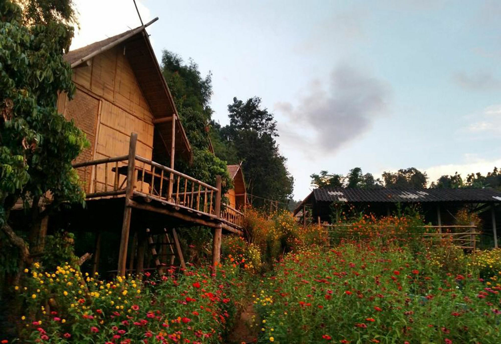 Baan Aingdoi Homestay, Chiang Dao Luaran gambar