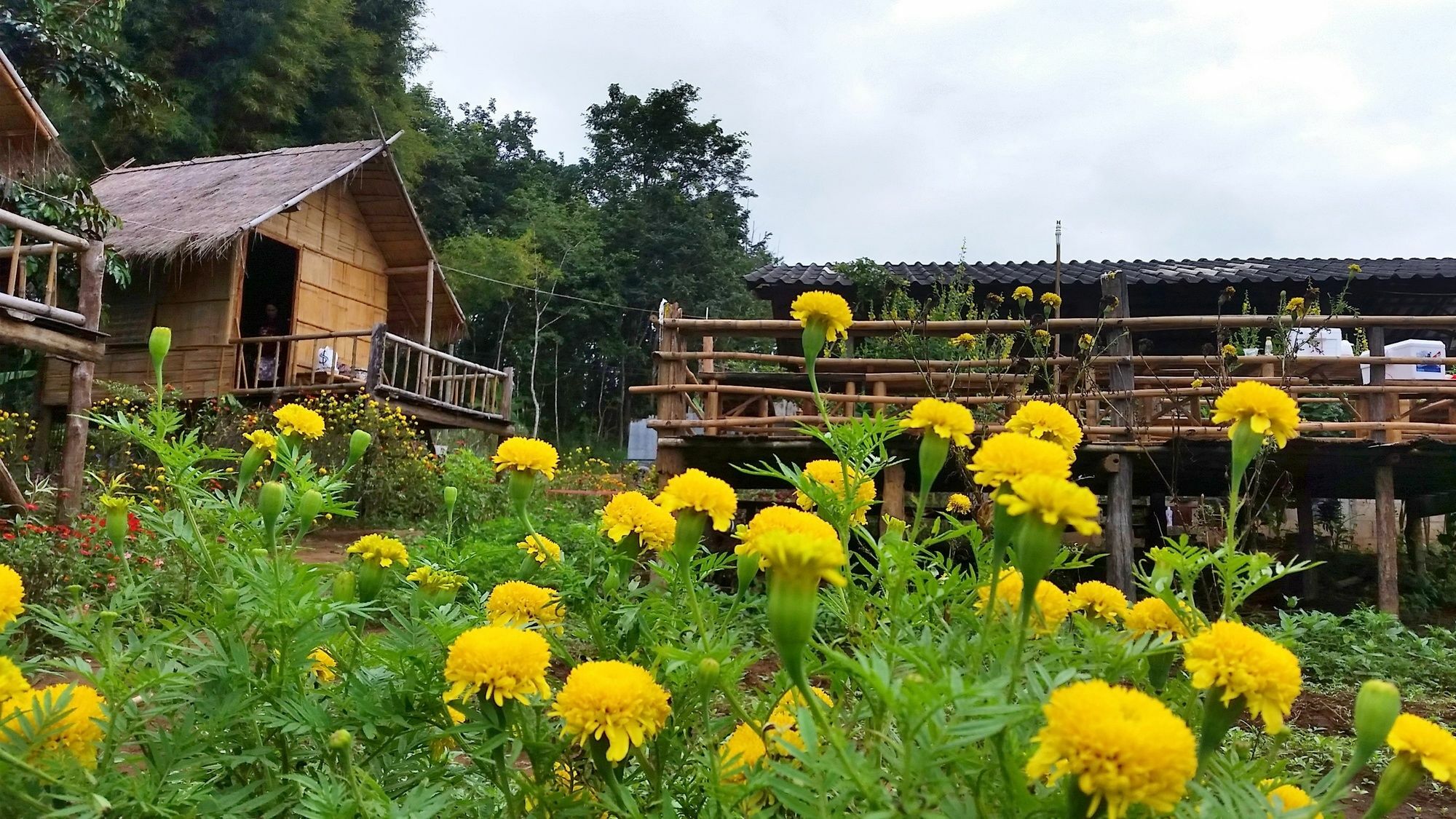 Baan Aingdoi Homestay, Chiang Dao Luaran gambar