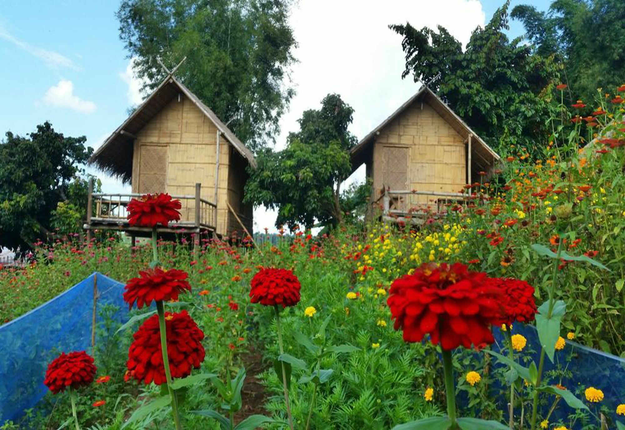 Baan Aingdoi Homestay, Chiang Dao Luaran gambar