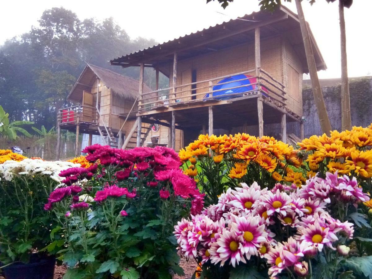 Baan Aingdoi Homestay, Chiang Dao Luaran gambar