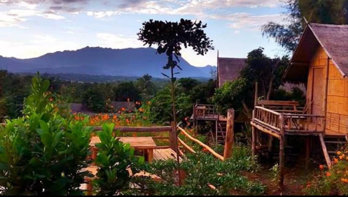 Baan Aingdoi Homestay, Chiang Dao Luaran gambar