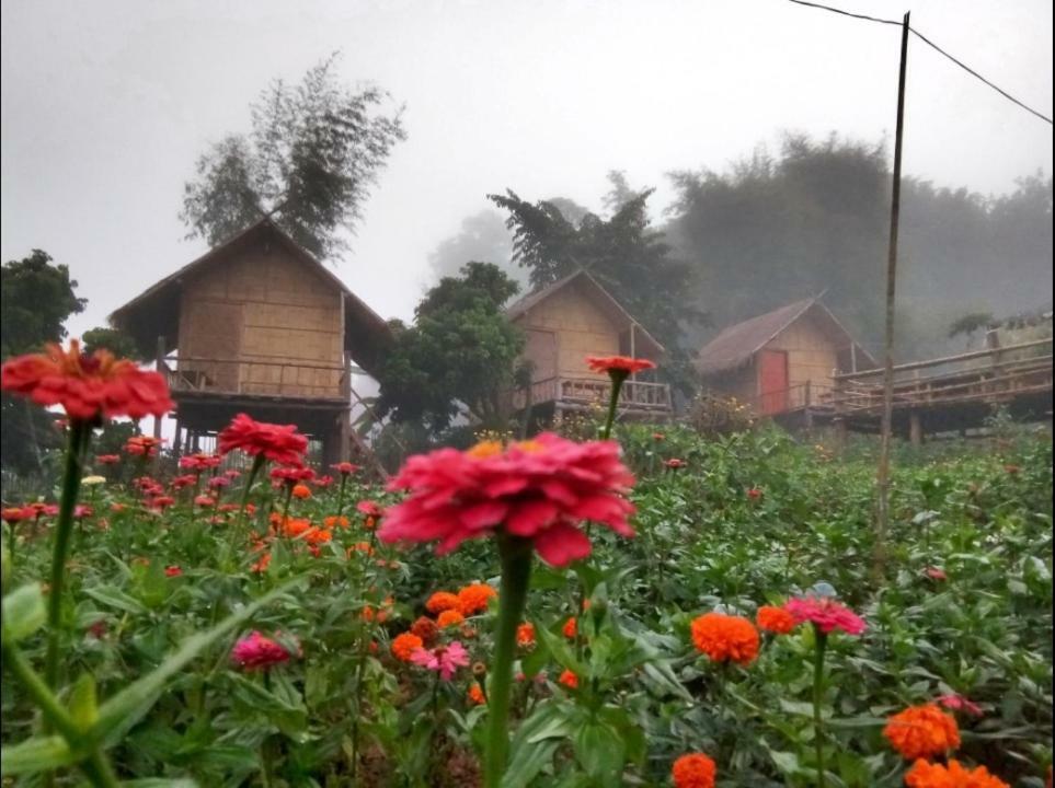 Baan Aingdoi Homestay, Chiang Dao Luaran gambar